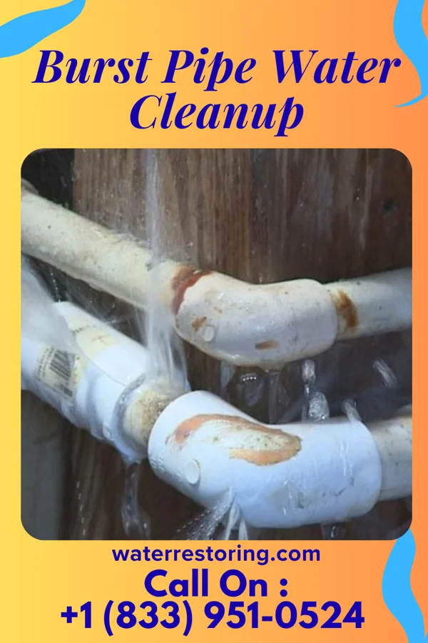 Burst Pipe Water Cleanup in Nelliston, NY