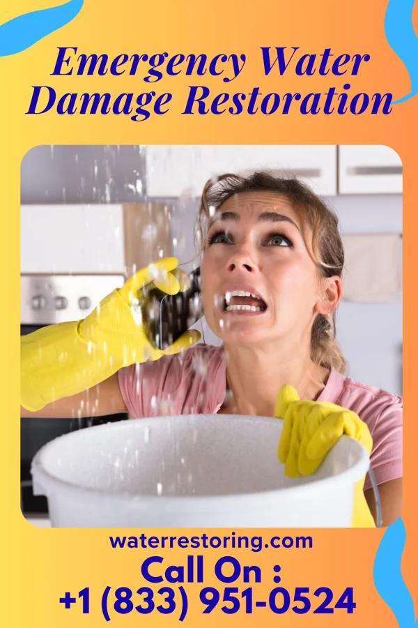 Emergency Water Damage Restoration in Nelliston, NY