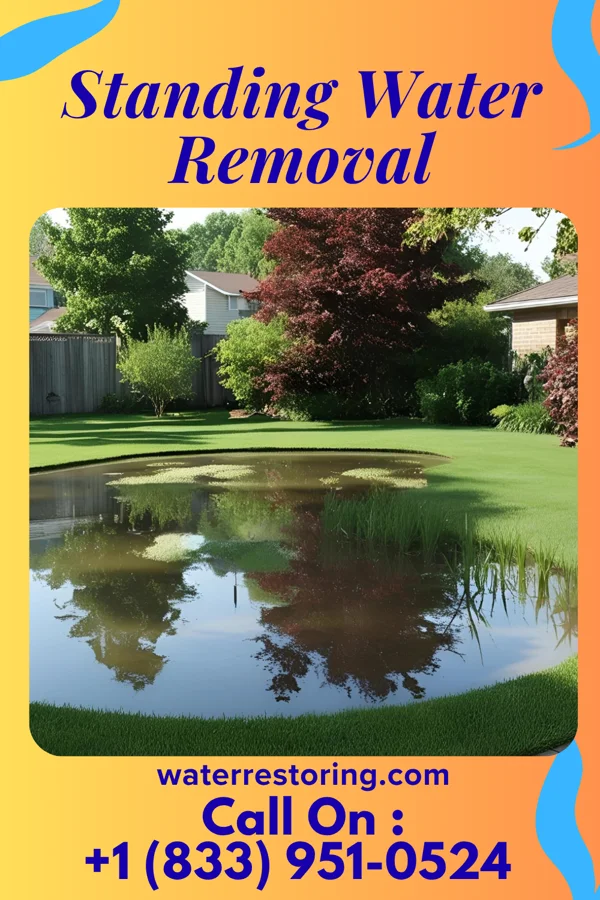 Standing Water Removal in Nelliston, NY